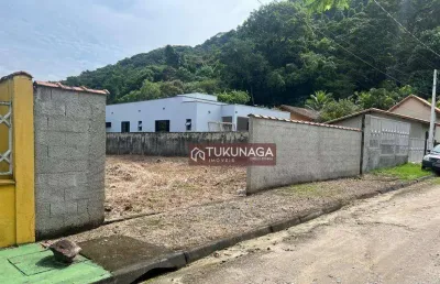 Terreno à venda, 381 m² - loteamento recanto verde mar massaguaçu - caraguatatuba/sp