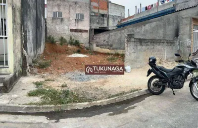 Terreno à venda, 250 m² por r$ 400.000,00 - parque industrial cumbica - guarulhos/sp