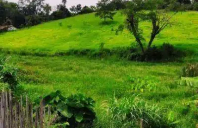 Terreno à venda, 19980 m² por r$ 2.000.000,00 - são bento - arujá/sp