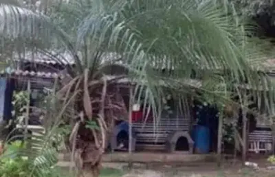 Chácara para venda na serra da cantareira mairiporã, bairro mantiqueira, 1 suíte e 5 vagas.