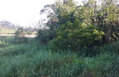 Terreno à venda, 4000 m² por r$ 450.000,00 - espinheiros - itajaí/sc