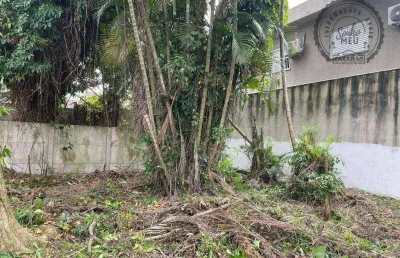 Terreno à venda na Rua Brigadeiro José Ferreira, Canto do Forte, Praia Grande