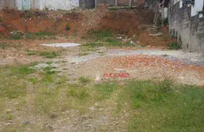 Terreno para alugar, 1000 m² por r$ 11.250,00/mês - jardim dourado - guarulhos/sp