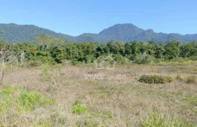 Terreno à venda, 1335 m² por r$ 390.000,00 - chacaras fazenda sao joao - peruíbe/sp