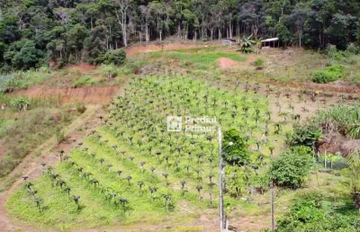 Chácara à venda, 20000 m² por r$ 1.100.000,00 - varginha - nova friburgo/rj