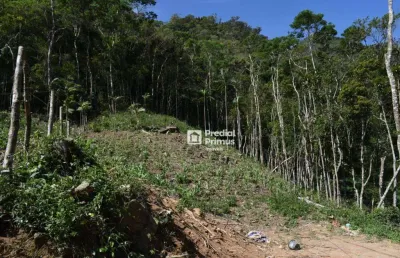 Terreno à venda, 780 m² por r$ 380.000,00 - são pedro da serra - nova friburgo/rj