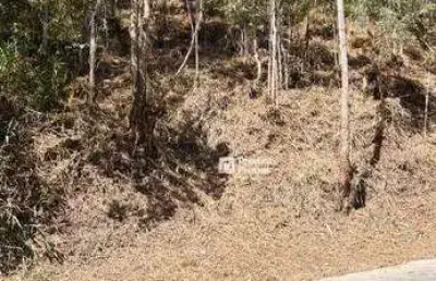 Terreno à venda, 650 m² por r$ 180.000,00 - parque são clemente - nova friburgo/rj