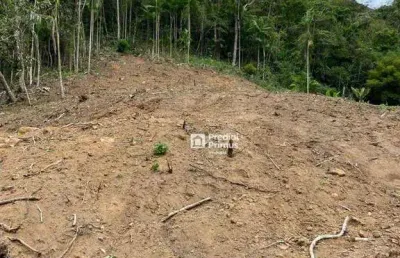Terreno à venda, 20560 m² por r$ 650.000 - cônego - nova friburgo/rj
