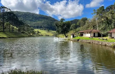 Fazenda de 290 hectares com infraestrutura completa e riquezas natuais