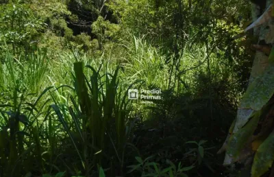 Terreno à venda, 600 m² por r$ 218.000,00 - varginha - nova friburgo/rj