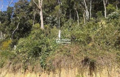 Terreno à venda, 4447 m² por r$ 180.000,00 - mury - nova friburgo/rj