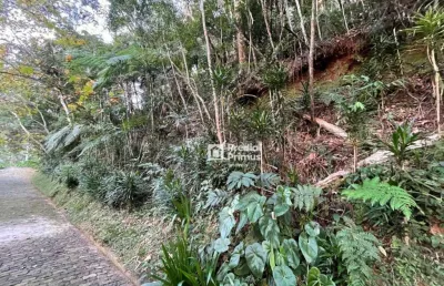 Terreno com rgi , 2345 m² à venda por r$ 350.000 - mury - nova friburgo/rj