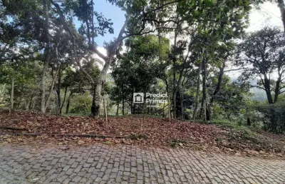 Oportunidade única - terreno à venda, 395 m² por r$ 200.000 - vargem grande, cônego - nova friburgo/rj