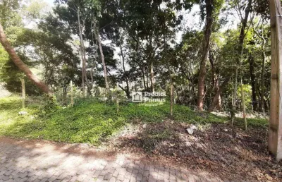 Terreno à venda, 370 m² por r$ 200.000,00 - vargem grande - nova friburgo/rj