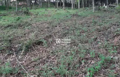 Terreno à venda, 452 m² por r$ 200.000,00 - vargem grande - nova friburgo/rj