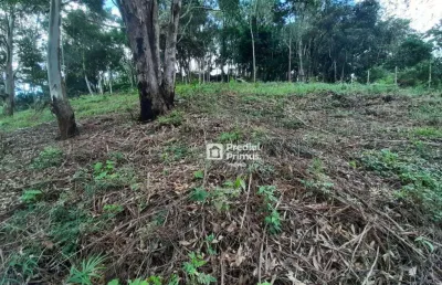 Terreno à venda, 432 m² por r$ 200.000,00 - vargem grande - nova friburgo/rj