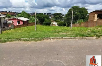 Terreno para venda,  jardim carvalho, ponta grossa - te381