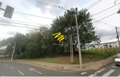 Terreno à venda e para alugar em piracicaba, piracicamirim, com 16000 m²