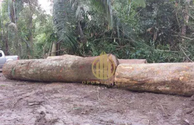 Fazenda à venda na Zona Rural, Feijó 