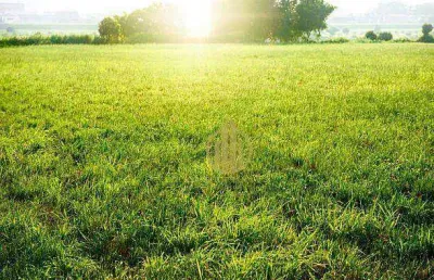 Terreno à venda, 800 m² por r$ 636.000 - ribeirânia - ribeirão preto/sp