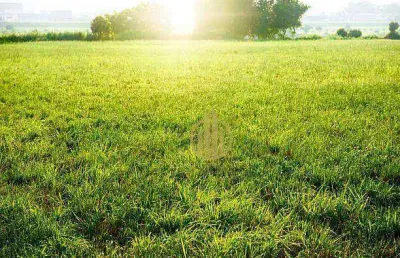 Terreno à venda, 390 m² por r$ 280.000,00 - ribeirânia - ribeirão preto/sp