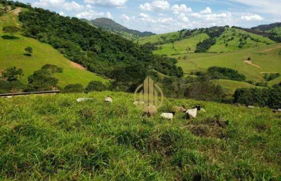 Área  para lazer e ou cultivo venda, 730000 m² por r$ 4.000.000 - zona rural - capitólio/mg
