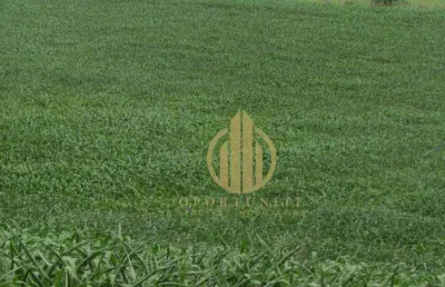 Terreno de ilha no portal jatobá - vivendas da mata - ribeirão preto/sp