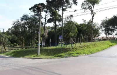 Terreno, 2100 m² - venda por r$ 1.800.000,00 ou aluguel por r$ 2.666,67/mês - colônia rio grande - são josé dos pinhais/pr