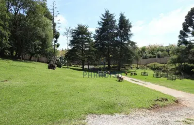 Chácara com 4 dormitórios à venda, 12000 m² por r$ 4.100.000,00 - santa felicidade - curitiba/pr