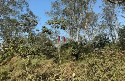 Terreno para venda em são bernardo do campo, batistini