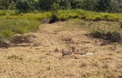 Terreno à venda em bragança paulista, condomínio villa verde bragança, com 193 m²