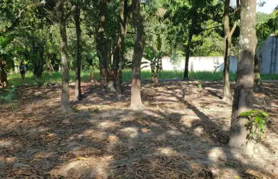 Terreno à venda na dos pinheiros, casa verde, monte mor por r$ 185.000