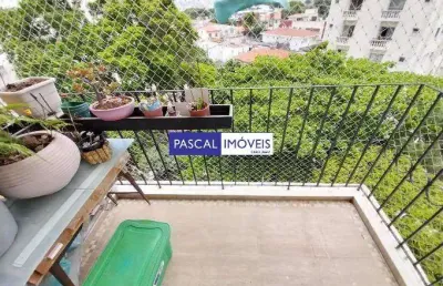 Apartamento com 2 quartos à venda na avenida barão do rego barros, 158, campo belo, são paulo, 65 m2 por r$ 740.000