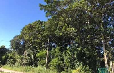 Terreno à venda na Rua 2570 Ayrton Senna da Silva, 775, Pontal do Norte, Itapoá