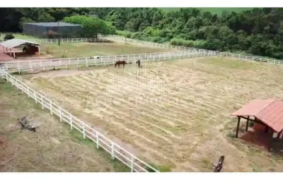 Fazenda à venda na Zona Rural, Taquaritinga 