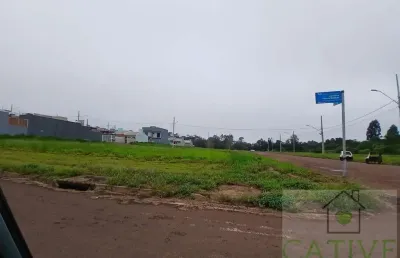 Terreno à venda na Rua Juvelina Fabris Bebber, Morumbi, Cascavel