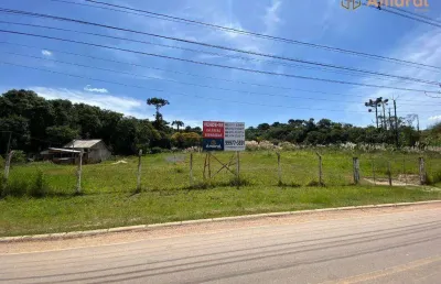 Terreno à venda, 6500 m² por r$ 3.350.000,00 - cic - curitiba/pr
