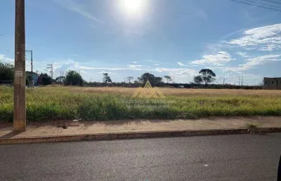 Terreno para alugar, 1020 m² por r$ 3.263,00/mês - vila carvalho - ribeirão preto/sp