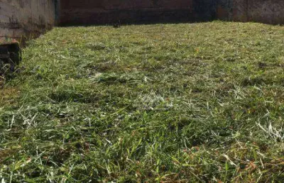 Terreno à venda, 250 m² por r$ 265.000,00 - jardim macedo - ribeirão preto/sp