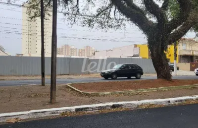 Terreno comercial para alugar na avenida paes de barros, --, mooca, são paulo, 1050 m2 por r$ 150.000