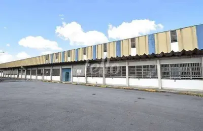 Barracão / galpão / depósito para alugar na avenida fagundes de oliveira, --, vila são josé, diadema, 49834 m2 por r$ 332.000