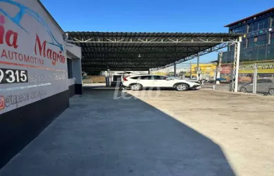 Barracão / galpão / depósito para alugar na rua maria cândida, --, vila guilherme, são paulo, 1000 m2 por r$ 25.000