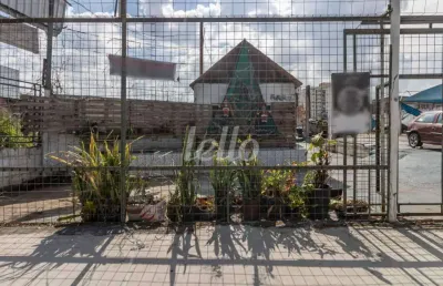 Terreno comercial para alugar na avenida júlio buono, --, vila constança, são paulo, 368 m2 por r$ 25.000