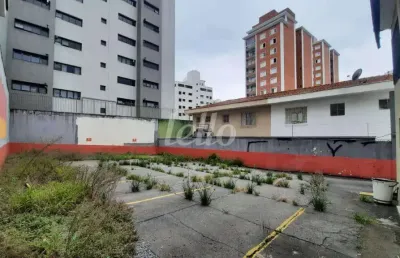Terreno comercial para alugar na avenida nova cantareira, --, tucuruvi, são paulo, 350 m2 por r$ 3.700