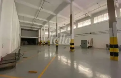 Prédio para alugar na rua marina ciufuli zanfelice, --, lapa, são paulo, 6365 m2 por r$ 250.000