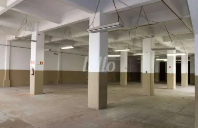 Barracão / galpão / depósito para alugar na rua zanzibar, --, casa verde, são paulo, 2440 m2 por r$ 50.000