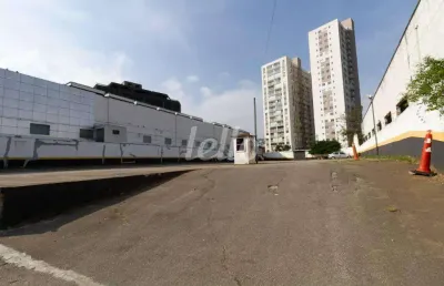 Terreno comercial para alugar na avenida marquês de são vicente, --, várzea da barra funda, são paulo, 2458 m2 por r$ 60.000