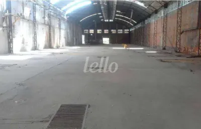 Barracão / galpão / depósito para alugar na estrada da figueira, --, rio abaixo, itaquaquecetuba, 42000 m2 por r$ 135.000