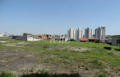 Terreno comercial para alugar na rua januário cicco, --, vila nova pauliceia, são paulo, 5000 m2 por r$ 40.000