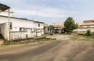 Terreno comercial para alugar na rua otto de barros, --, vila santo estéfano, são paulo, 856 m2 por r$ 8.900